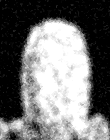 fragment metempsychosis